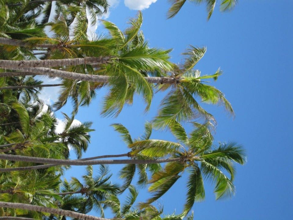  Strand Hotel Riu Bambu