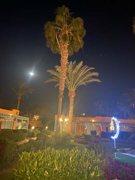 Ausblick Giftun Azur Resort