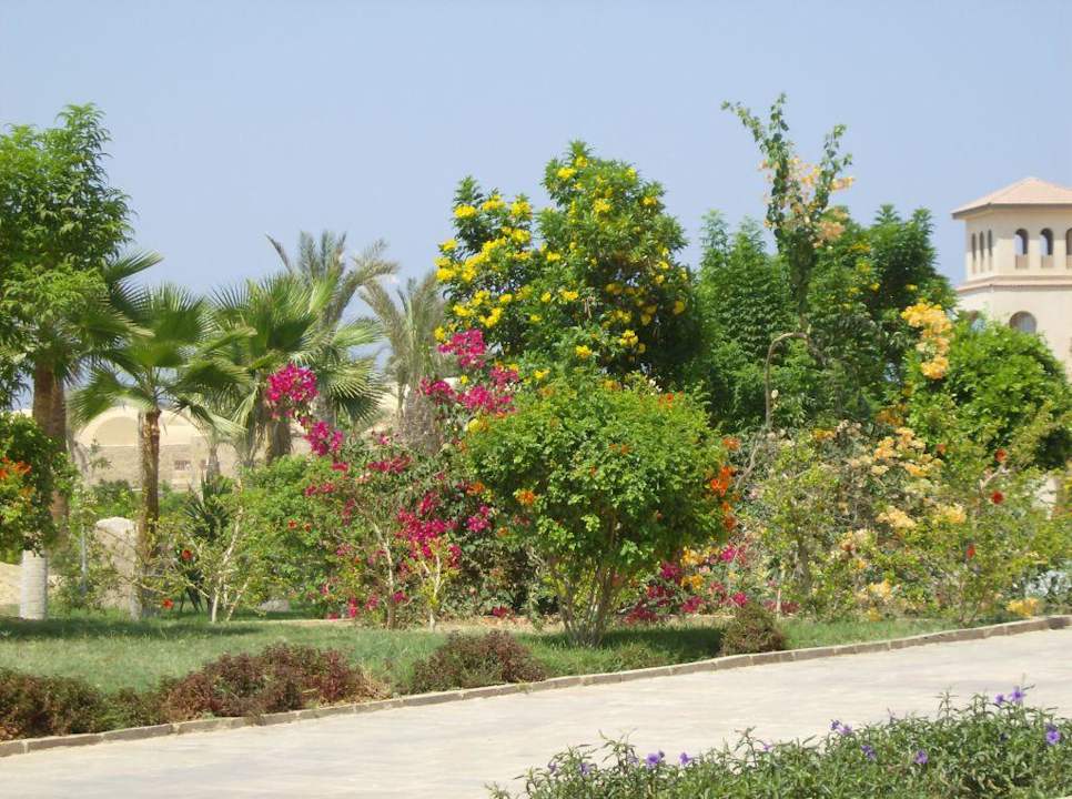 Kleine Grünlandschaft Pensée Royal Garden Beach Resort