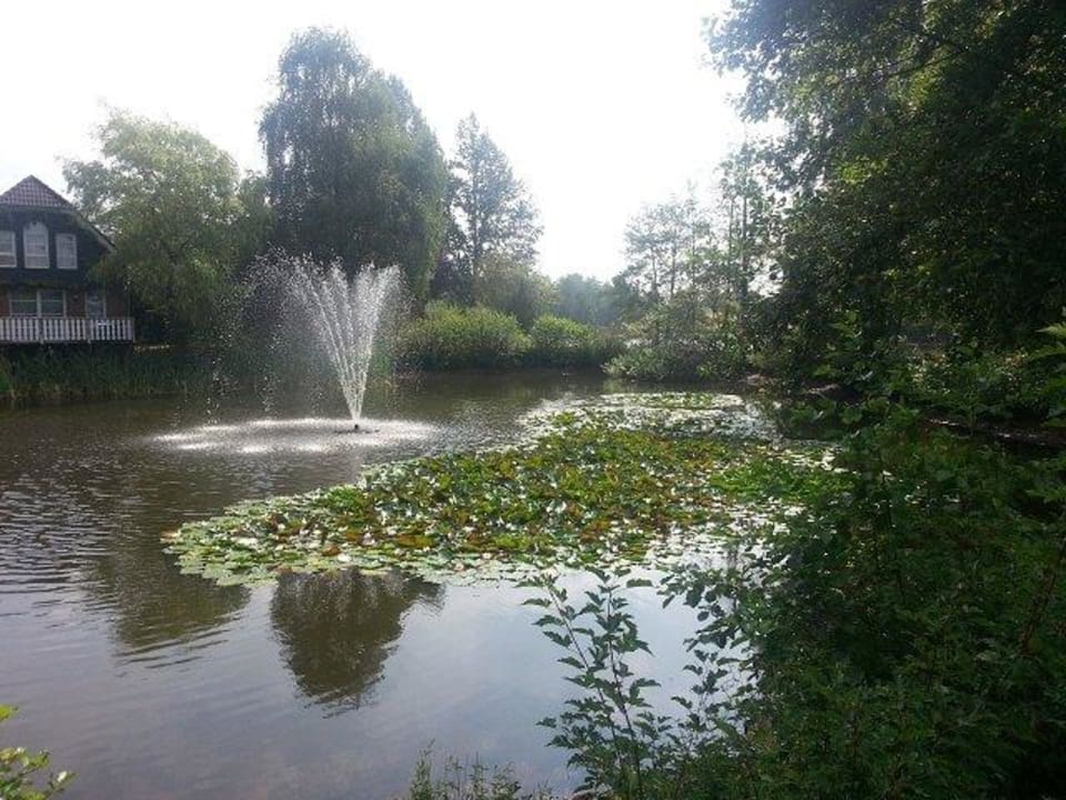 "Teich mit Springbrunnen a..." Eurostrand Resort Lüneburger Heide