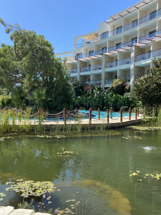 Gartenanlage Paloma Pasha