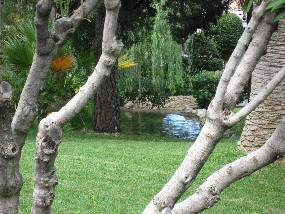 Teich im Garten Aldiana Club Rocca Nettuno Calabria