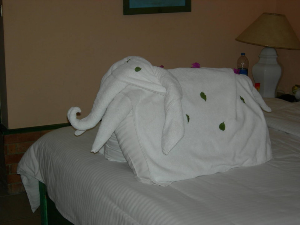 Kreationen aus Handtücher Giftun Azur Resort