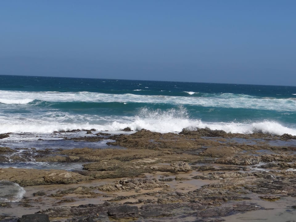 Karibik Valentin El Patriarca Varadero