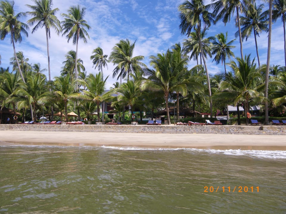 Hotel liegt im Garten unter Palmen Hoang Ngoc Beach Resort