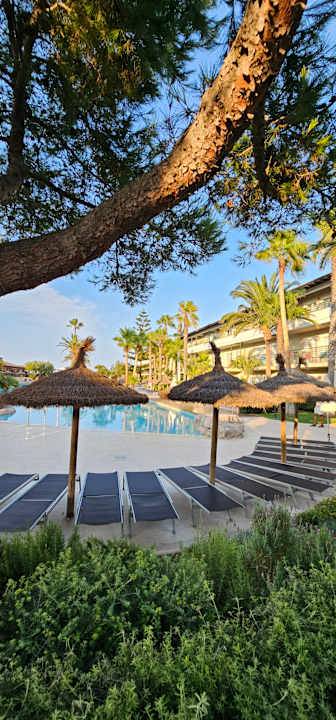 Pool allsun Hotel Eden Playa