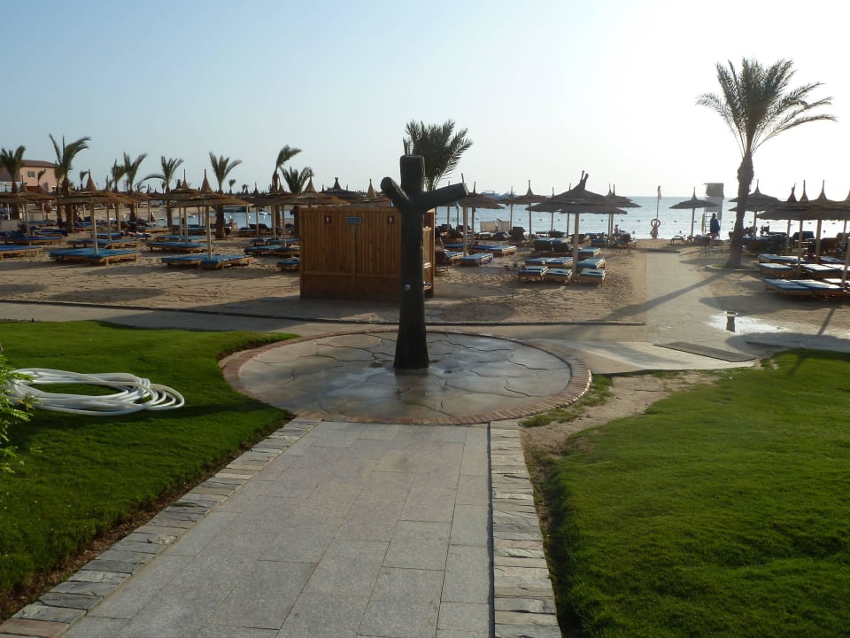Strand vom Pool aus Beach Albatros Resort