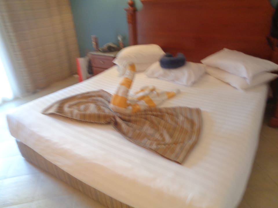 Zimmer Hotel Titanic Palace