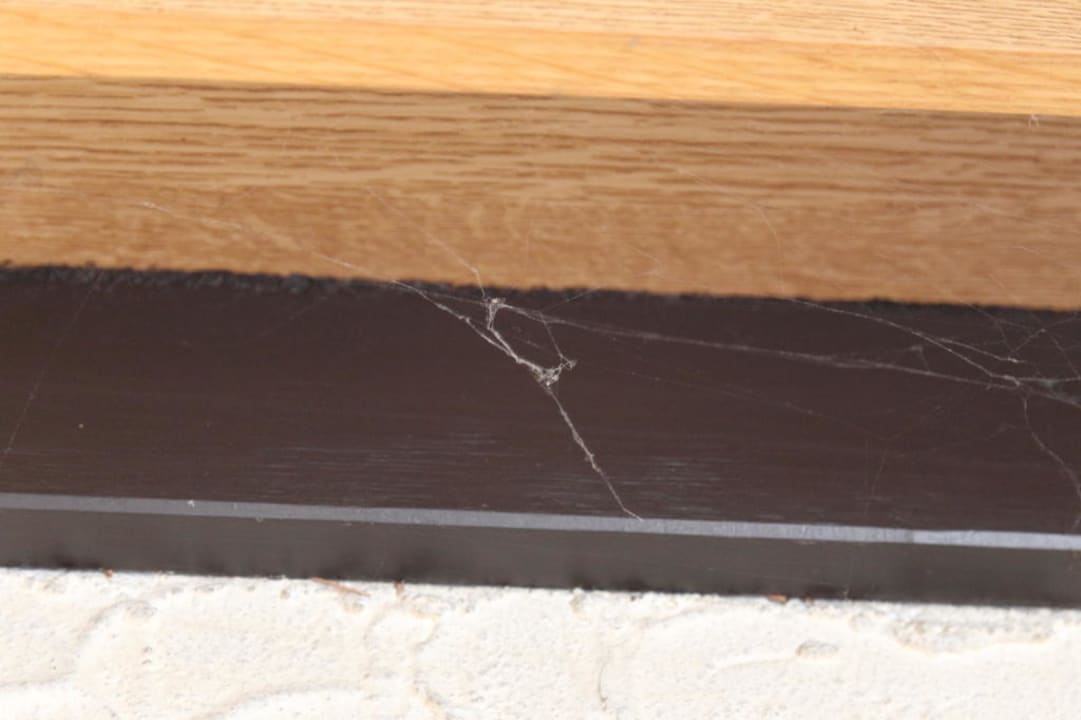 Und noch mehr Spinnweben Hotel Astel