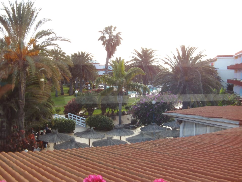 Ausblick in Gartenanlage SBH Fuerteventura Playa