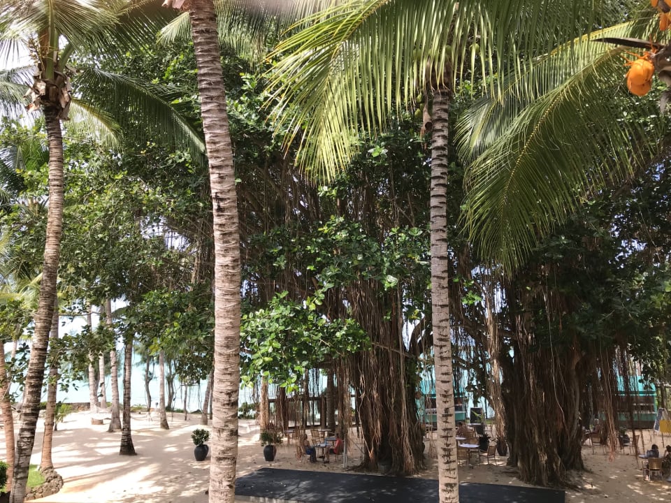 Ausblick Lagoon Attitude - Adults only