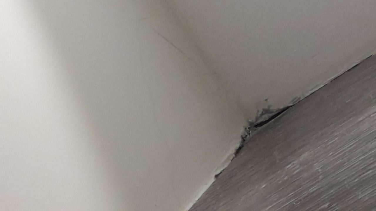 Toilette Lobby Well Palace Side