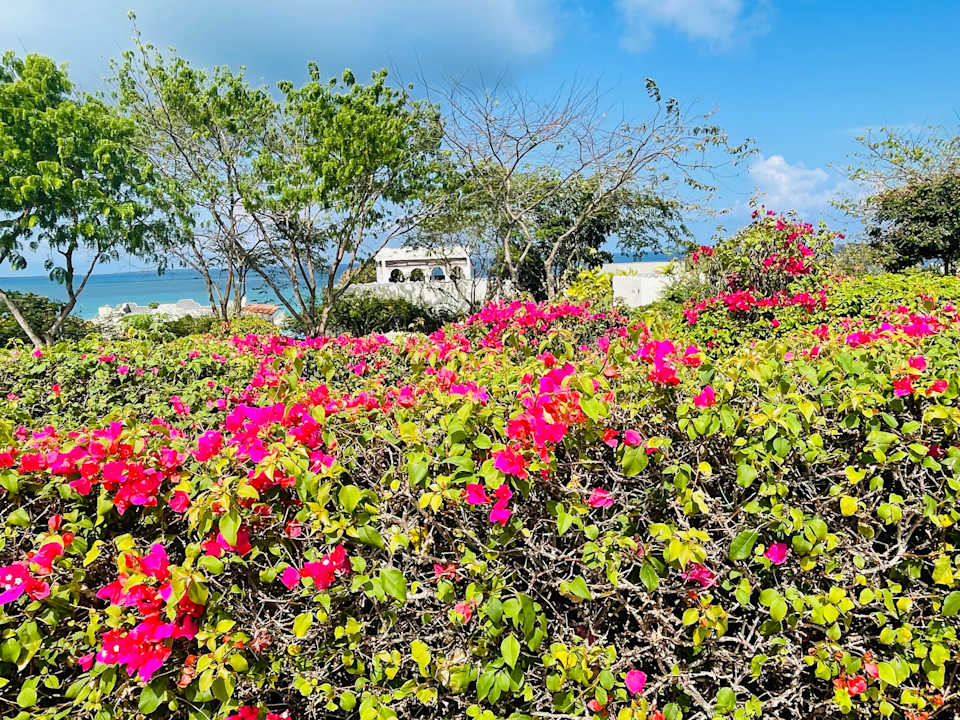 Gartenanlage Hotel Riu Palace Zanzibar