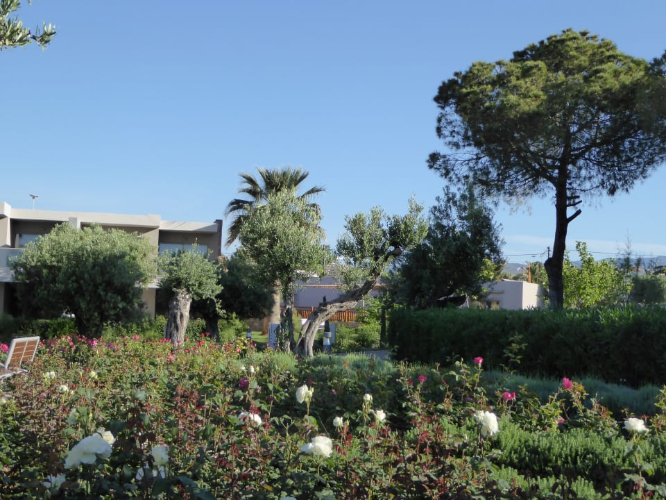 Gartenanlage Ikos Olivia