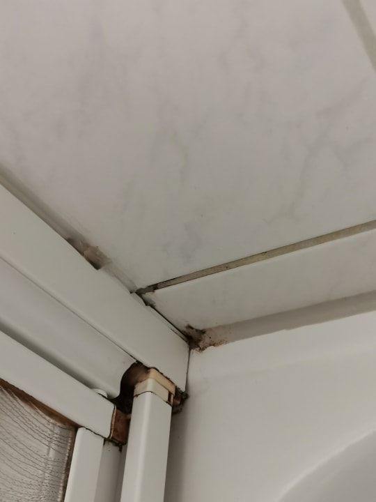 Zimmer Waldhotel Berghof