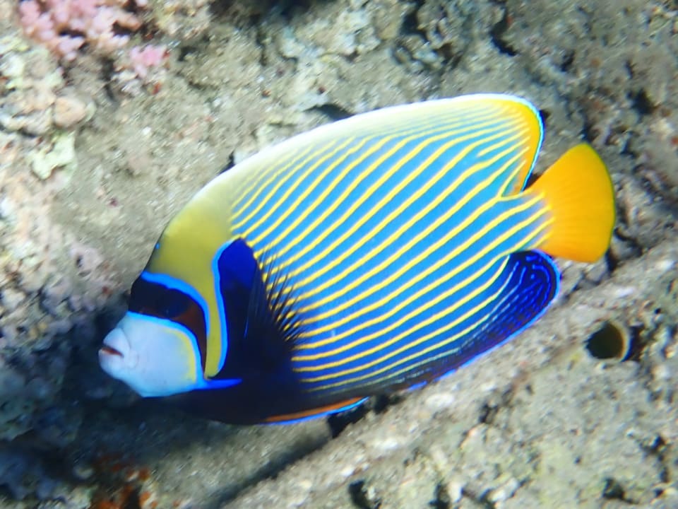 Strand Three Corners Equinox Beach Resort