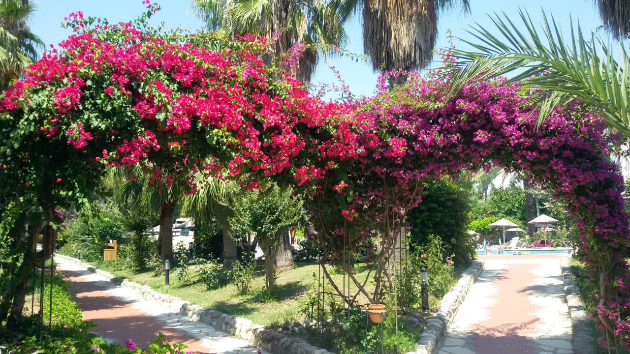 Gartenanlage Hotel Defne Garden