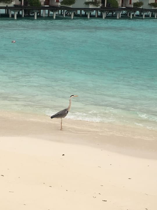 Ausblick Villa Park Sun Island