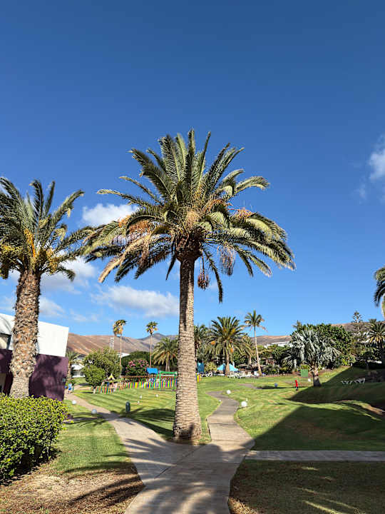 Gartenanlage allsun App.-Hotel Esquinzo Beach