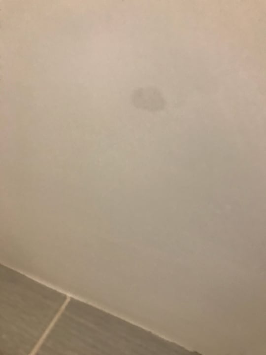 Zimmer Hotel Riu Republica - Adults only