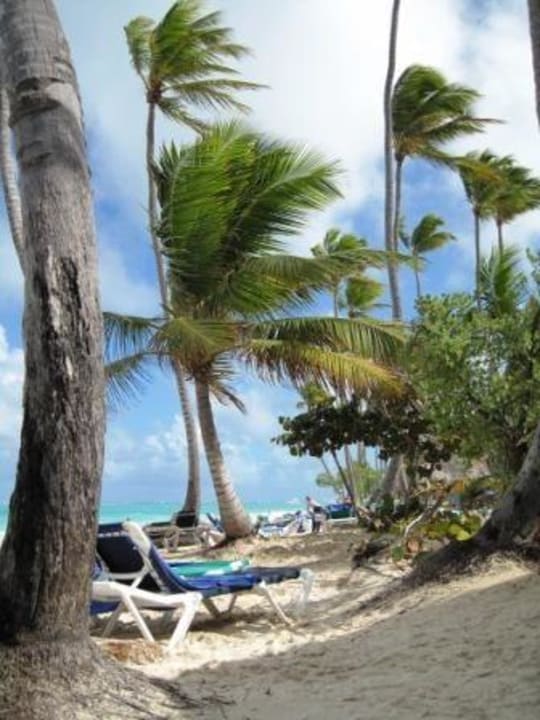 Strand Grand Palladium Punta Cana Resort & Spa
