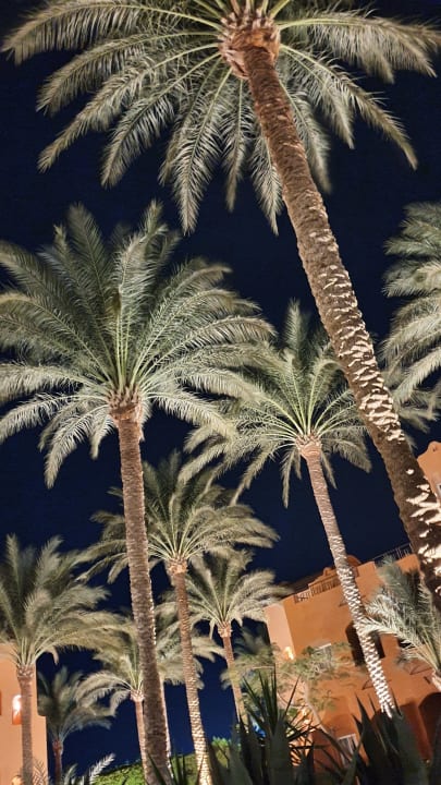 Gartenanlage Jaz Makadi Oasis Resort