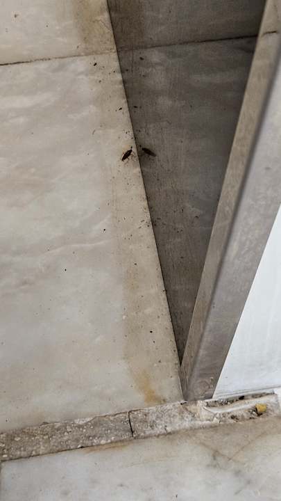 Gastro Alexandre La Siesta