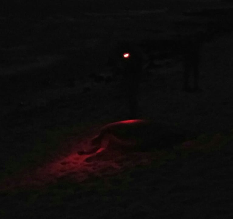 Strand Akumal Bay Beach & Wellness Resort