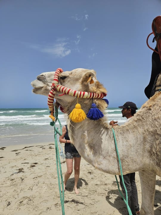 Strand Aldiana Club Djerba Atlantide