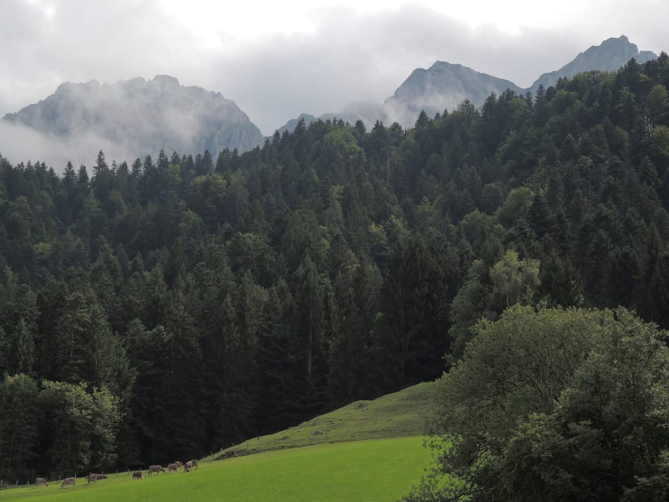 Ausblick Appartementhaus Fischbacher - Bauernhof Grosswolfing