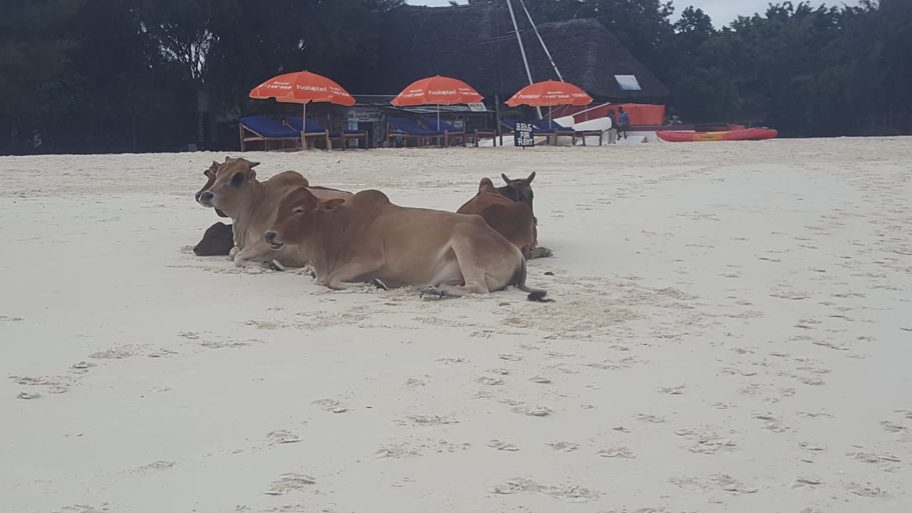 Strand Royal Zanzibar Beach Resort