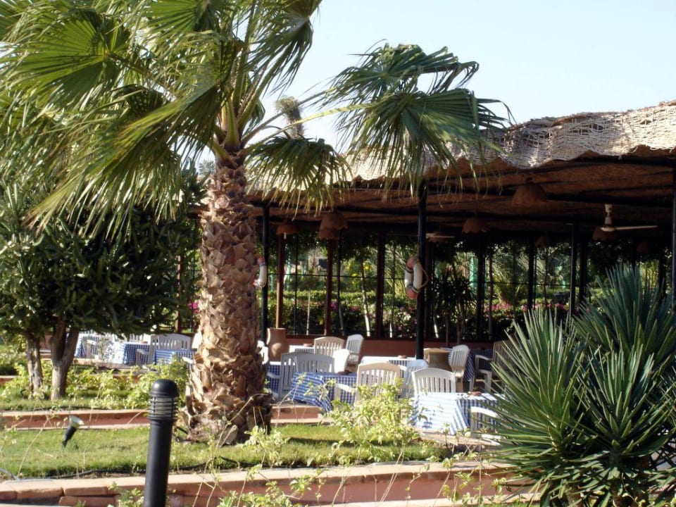 Fort Arabesque - Strandbar Fort Arabesque Resort, Spa & Villas