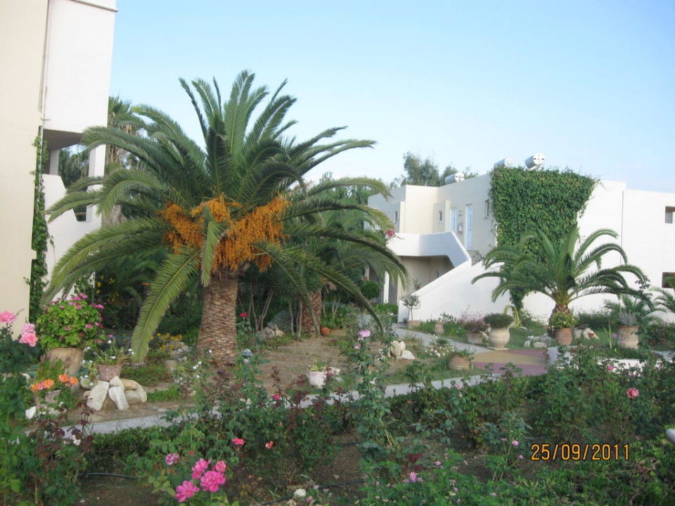 Bungalows des Hotels im Garten Delfina Tropic Beach