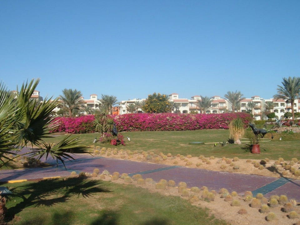 Gartenanlage zu Weihnachten Pickalbatros Dana Beach Resort - Hurghada