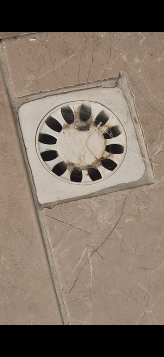 Zimmer Well Palace Side