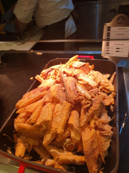 Gastro Adalya Elite Lara