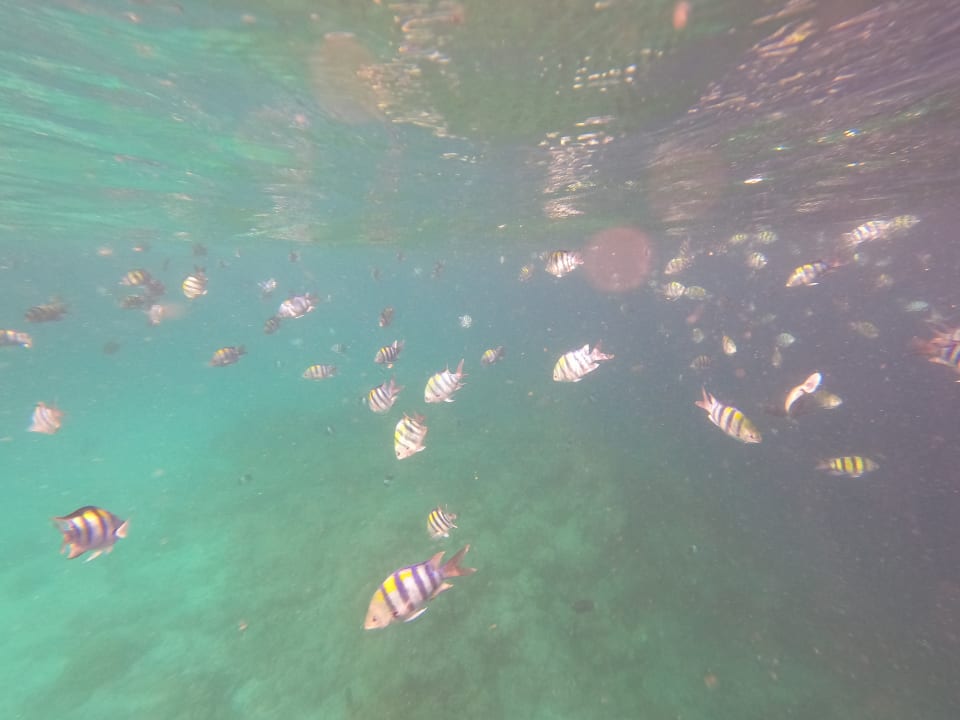 Sonstiges Kuredu Island Resort & Spa