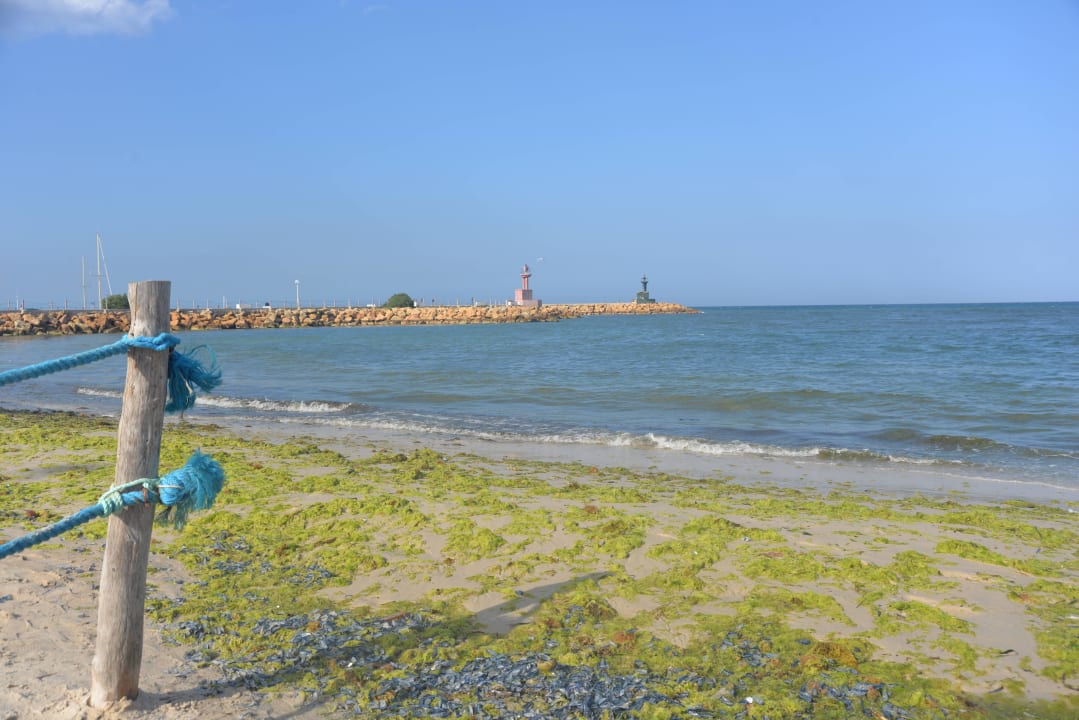 Пляж, милый пляж Hotel El Kantaoui Center