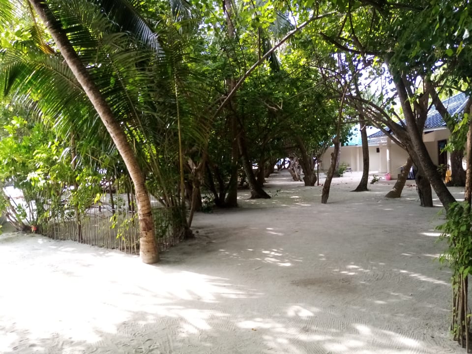 Gartenanlage Embudu Village