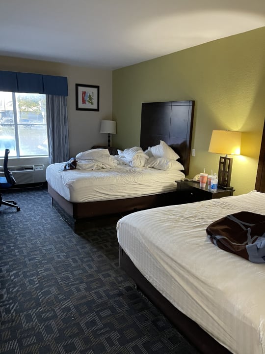 Zimmer Hotel Super 8 DFW Airport North