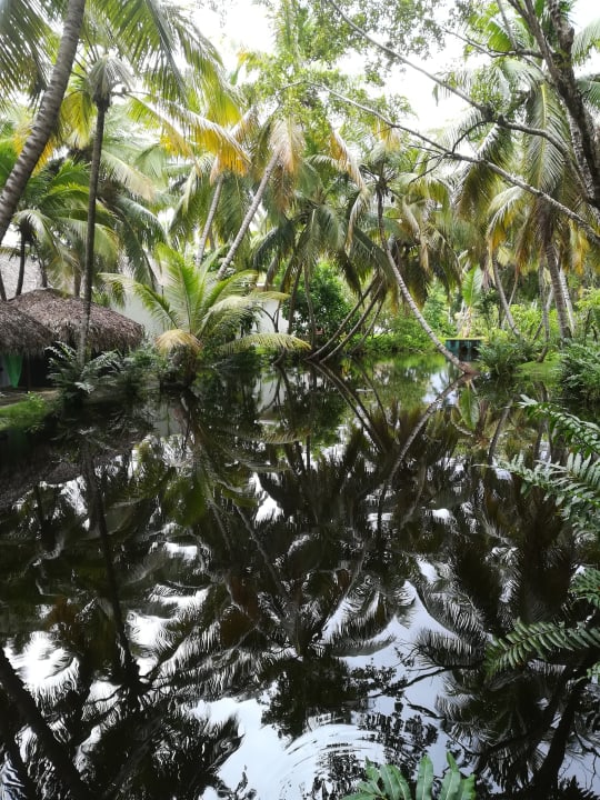 Gartenanlage Wyndham Alltra Samana