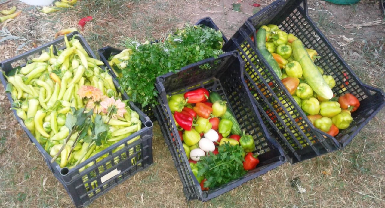 BIO GARDEN  Hotel Geranion Village