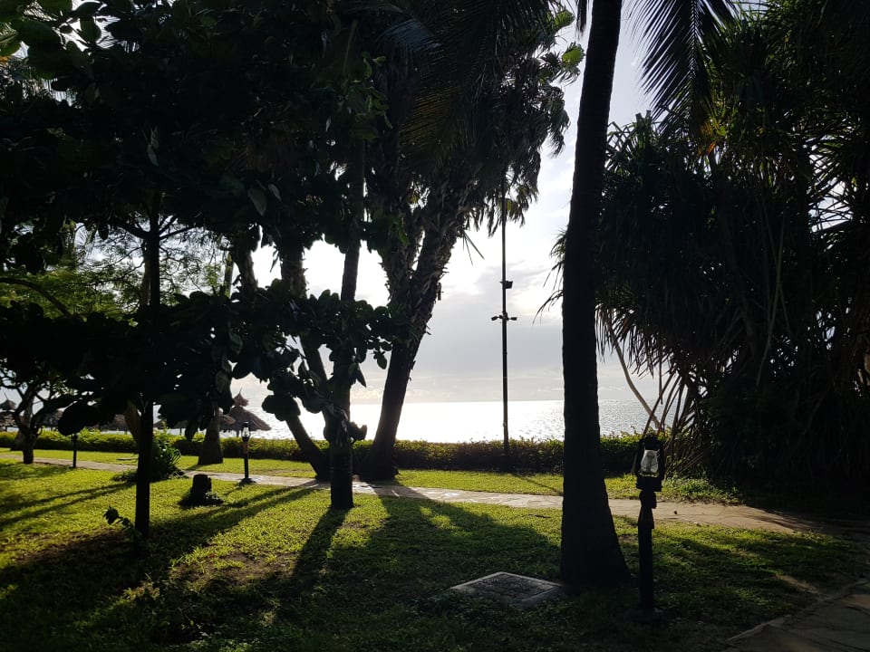 Gartenanlage Hotel Southern Palms Beach Resort