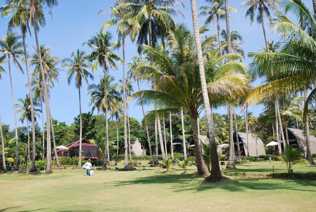 Ogród Koh Kood Beach Resort