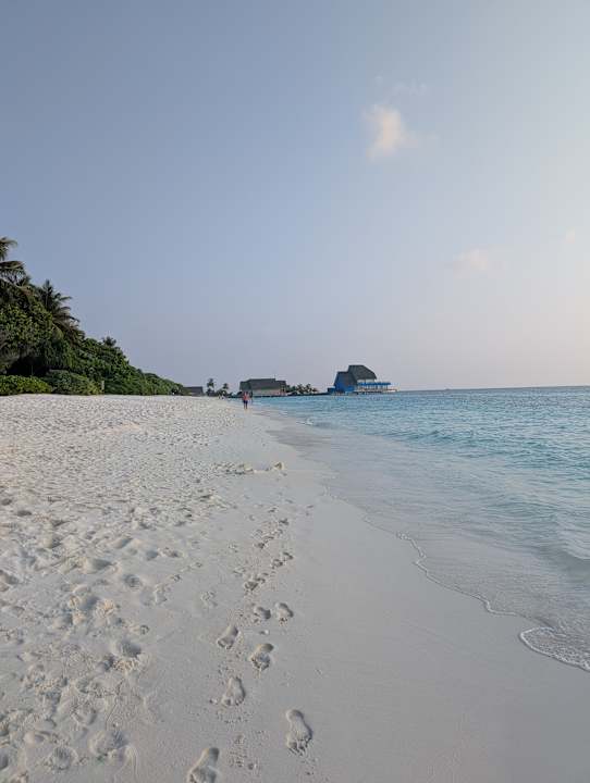 Strand Ifuru Island Maldives