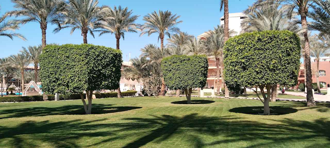 Gartenanlage Siva Grand Beach