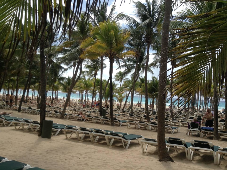Einfach nur besch... Hotel Riu Tequila