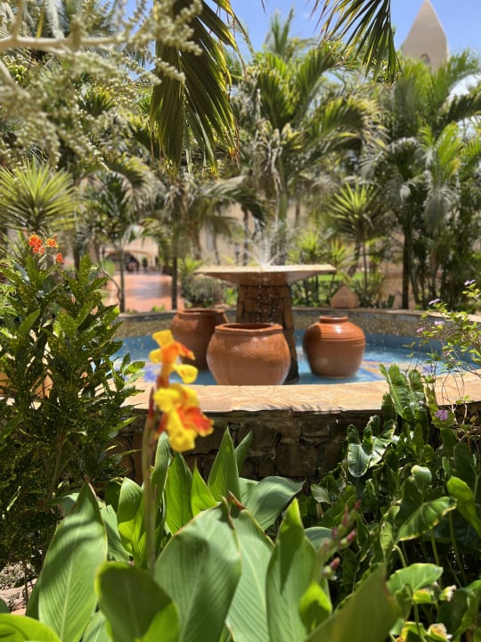 Gartenanlage Hotel Riu Touareg