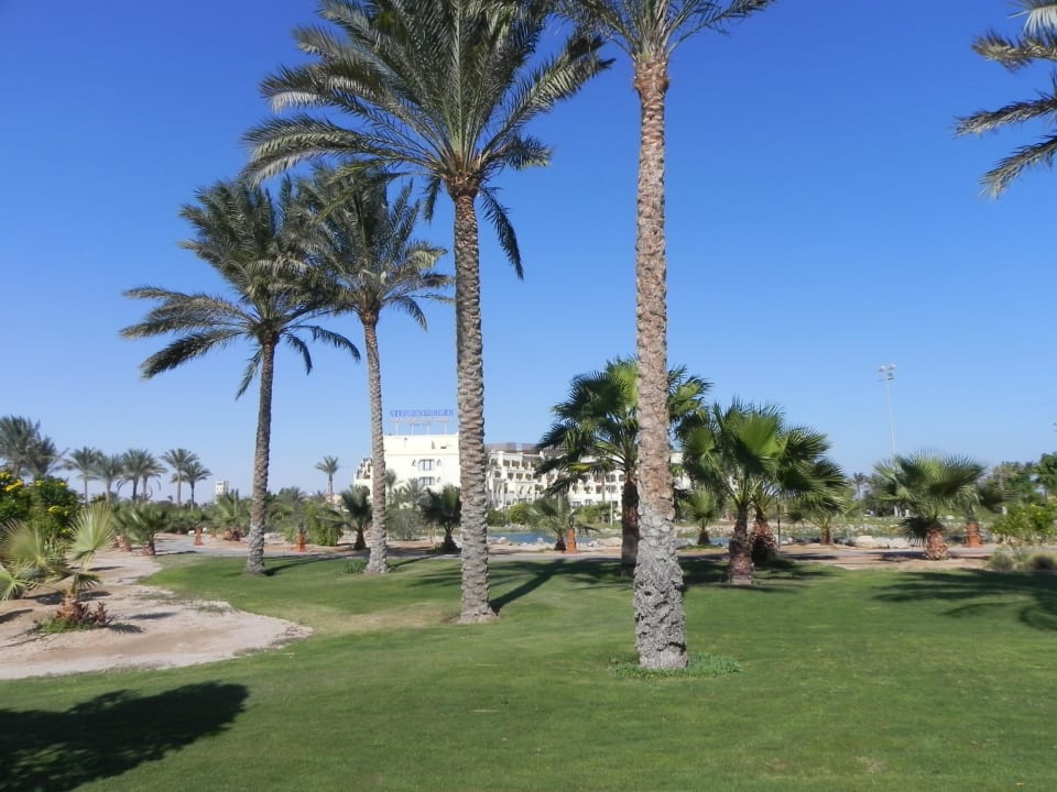 Spaziergang durch den Garten Steigenberger ALDAU Beach Hotel
