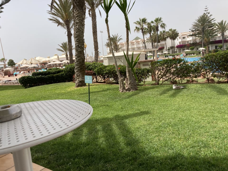 Gartenanlage Iberostar Waves Founty Beach